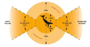 Whale Apporach Diagram Australian Regulations