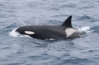 20170708 001 KMA 0112