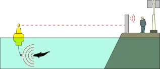 Studio Bruinvis Zuilvorm