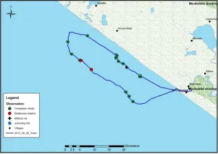 Survey Track And Sightings