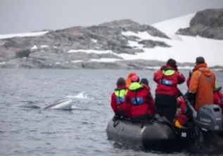 MG 2809 CJOHNSON Preview