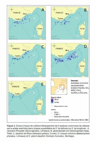 High Risk Areas From Mayol Et Al 2014