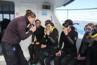 Guide Snorkeling Lesson Dennis Buurman Encounter Kaikoura