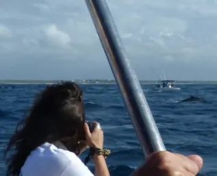 Tourist And Whale Watamu Marine Association