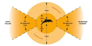 Australia Approac Diagram