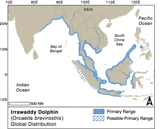 Irawaddy Dolphin Dist EMM