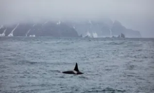 IMG 5157 CJOHNSON WWF Preview