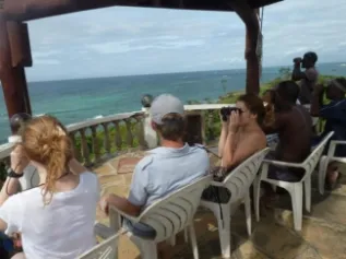 Land Based Surveys 2014 Watamu Marine Association