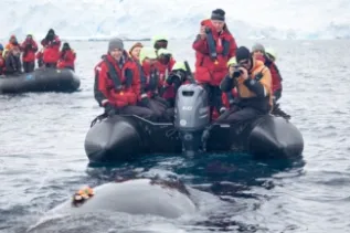 MG 2983 CJOHNSON WWF Preview