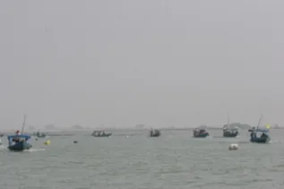 Tourist Boat Dipani Sutaria