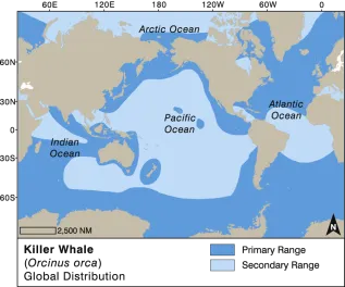 Killer Whale Dist EMM