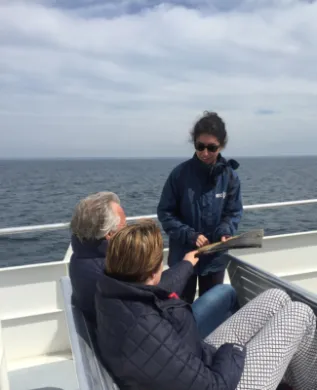 Passenger Interaction With Baleen Whale And Dolphin Conservation