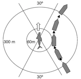 Canary Island Approach Diagram