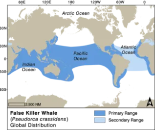 False Killer Whale Dist EMM