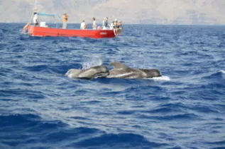 MEER Kurs 2013 La Gomera  Fabian Ritter