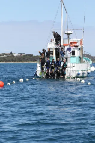 Polperro Swim Boat Img 2 Dolphin Research Institute