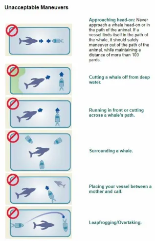 Hawaiian HW Sanctuary Unacceptable Approaches