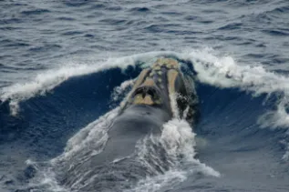 20080204 001 KS SOWER080204 S01 022