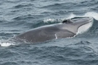 20170814 001 KMA 5527