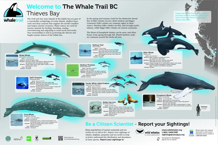 150930 Whale Trail Theives Bay 01 6
