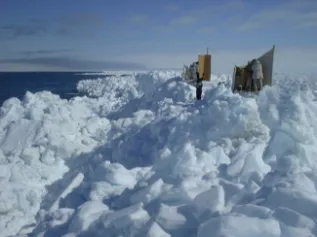 North Slope Borough Dept Of Widlife Management 4