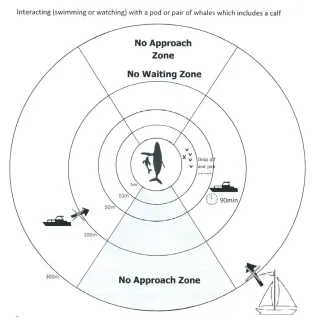 Tonga Approach Diagram