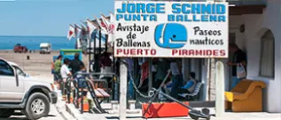 Embarcation Point Argentina