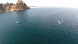 Blue Whale And WW Vessel From Above With Cliffs Diane Gendron