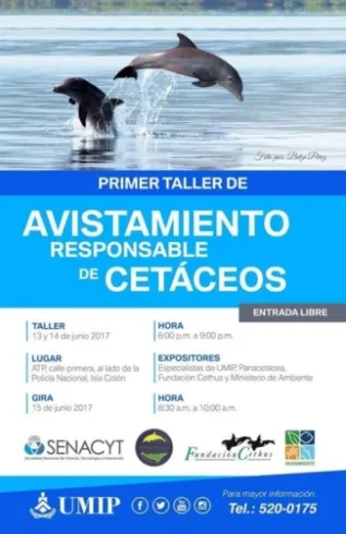 Workshop Poster Panacetea