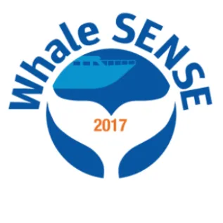 Whale Sense Logo