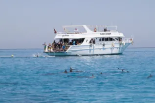 Satayah Big Boat And Swimmmers MF