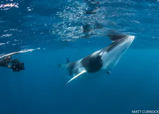 CMattCurnock2012 6687