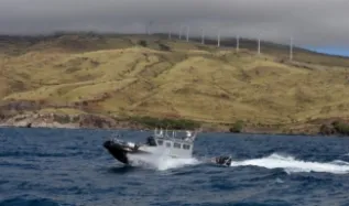 NEW Photo To Be Used