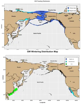Feeding And Wintering Grounds Map