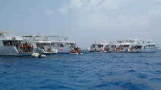 Samadai 03 Amina Cesario