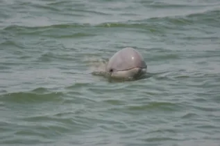 Feb 25th 26th 27th 2006 170 Dipani Sutaria