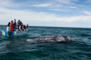 SAN IGNACIO MG 5405 CHRIS JOHNSON