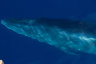 20120815 007008 KMA 5478