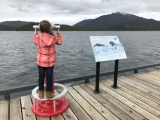 Whale Trail  Donna Sandstrom