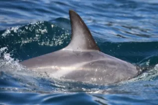 20161128 6D HB IMG 0579 LULA Monique Laubscher