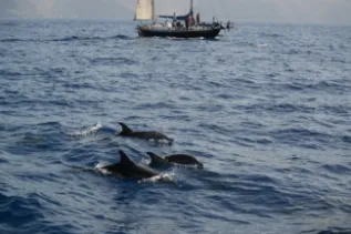 MEER Kurs 2013 La Gomera 28